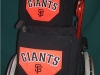 Wheelchair Bag and ToteBag